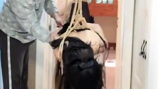 chinese bondage